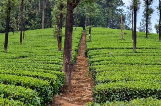 Summer Holiday in Coimbatore – Best Places & Fun Activities